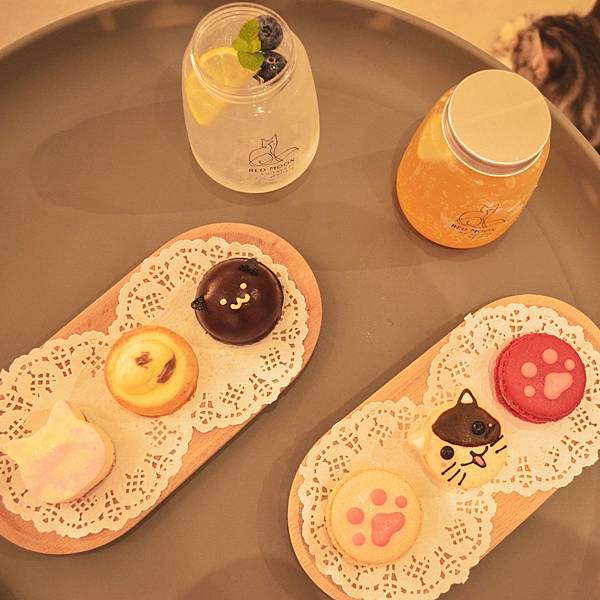 241018 貓奴日常:紅玥緬因貓藝廊I一家全預約制的貓咪咖 241018 貓奴日常:紅玥緬因貓藝廊I一家全預約制的貓咪咖