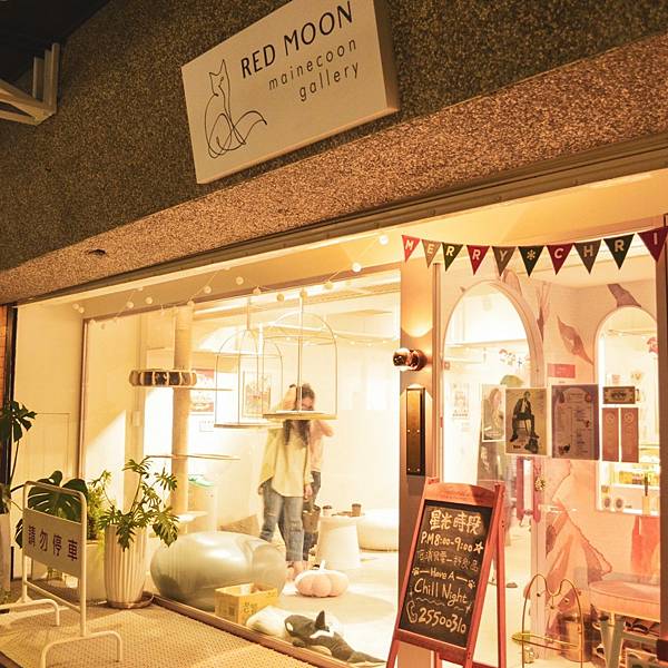 241018 貓奴日常:紅玥緬因貓藝廊I一家全預約制的貓咪咖 241018 貓奴日常:紅玥緬因貓藝廊I一家全預約制的貓咪咖