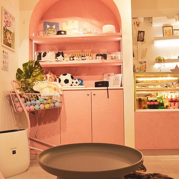 241018 貓奴日常:紅玥緬因貓藝廊I一家全預約制的貓咪咖 241018 貓奴日常:紅玥緬因貓藝廊I一家全預約制的貓咪咖