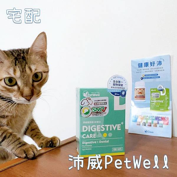 241018 貓奴日常：沛威 DIGESTIVE CARE 